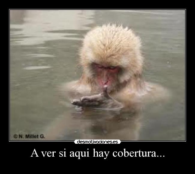 A ver si aqui hay cobertura... - 