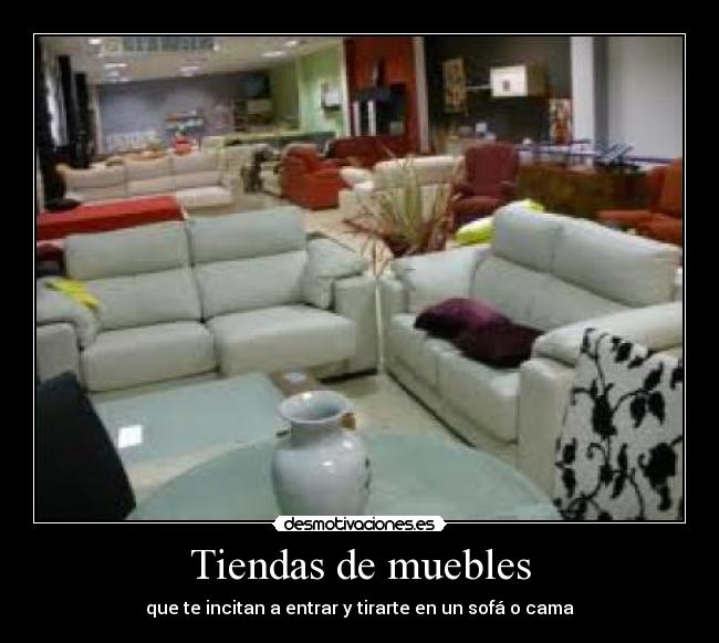 Tiendas de muebles - que te incitan a entrar y tirarte en un sofá o cama