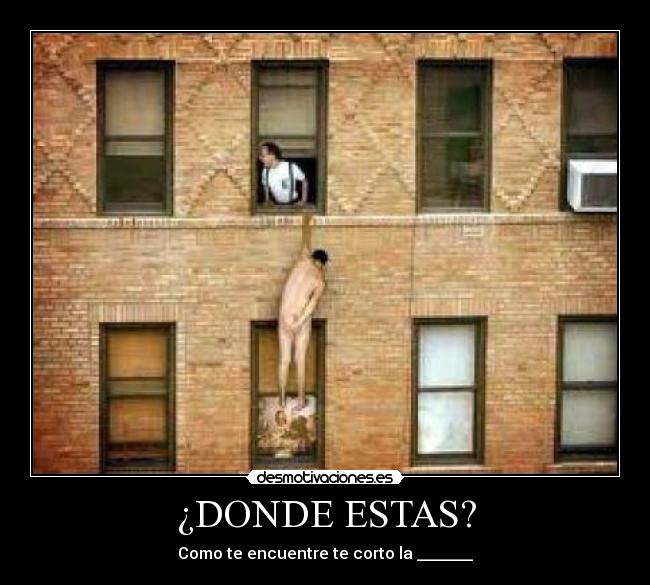 carteles perdido desmotivaciones