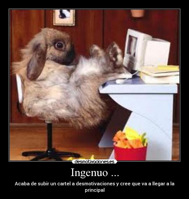 Ingenuo ... -
