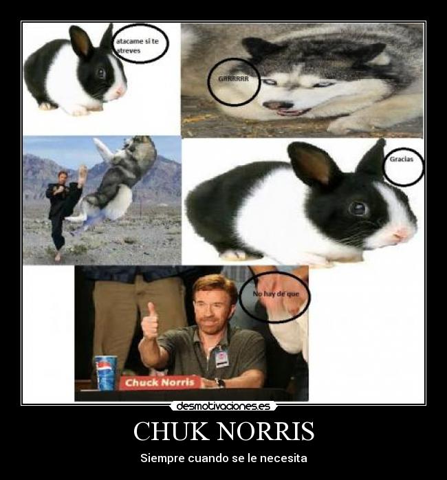 CHUK NORRIS - Siempre cuando se le necesita