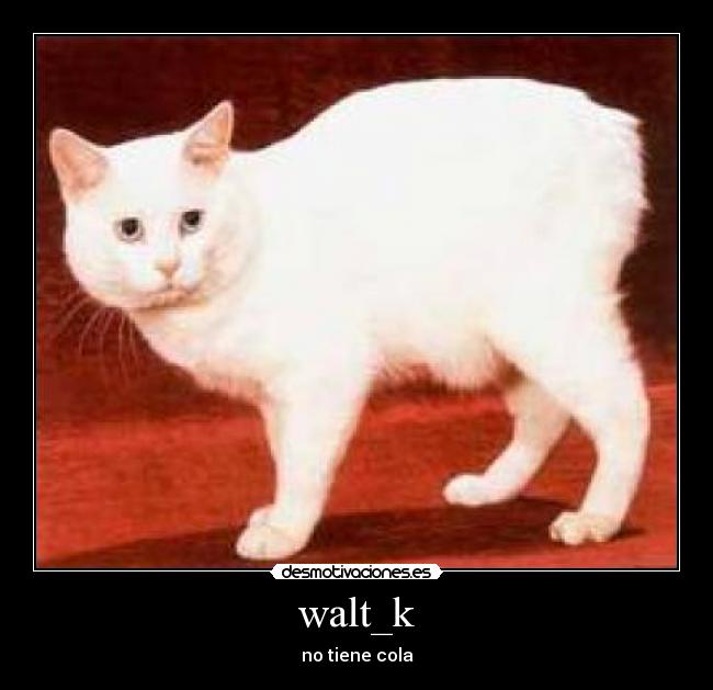 walt_k -