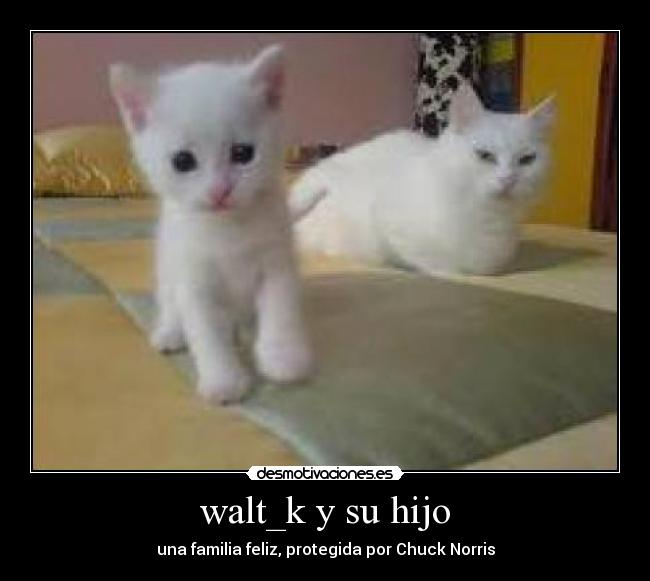 walt_k y su hijo - 