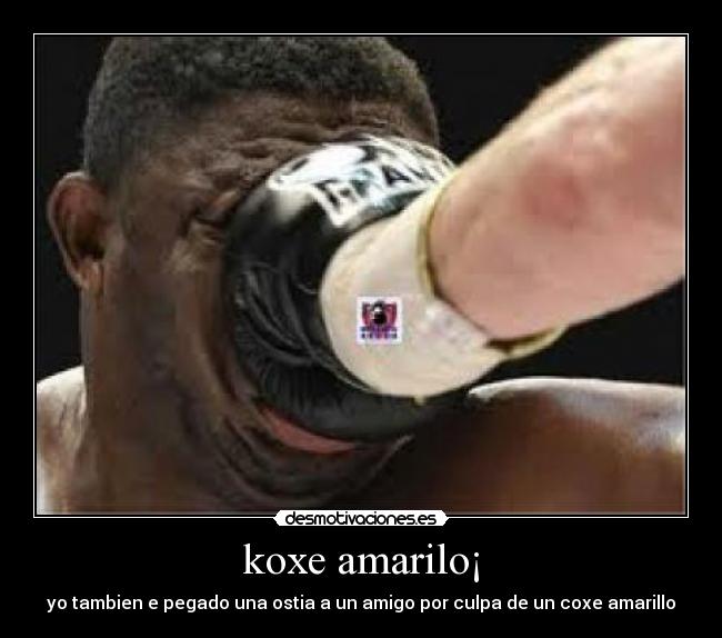 koxe amarilo¡ -
