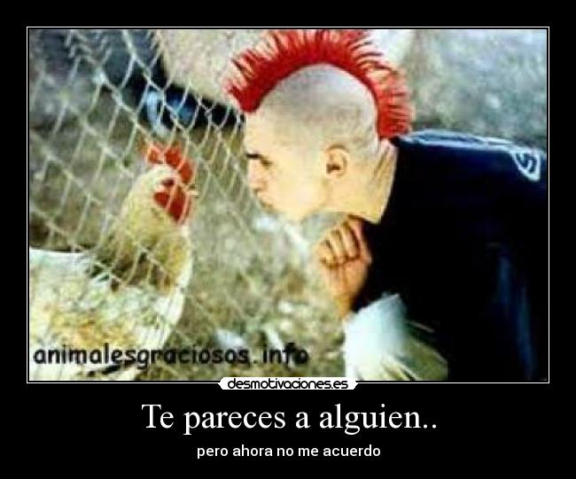 Te pareces a alguien.. -