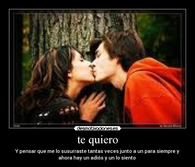 carteles lauriita desmotivaciones