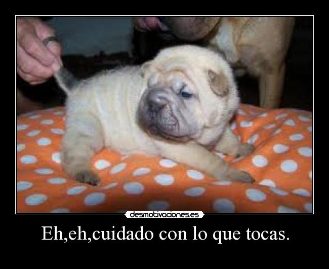 Eh,eh,cuidado con lo que tocas. -