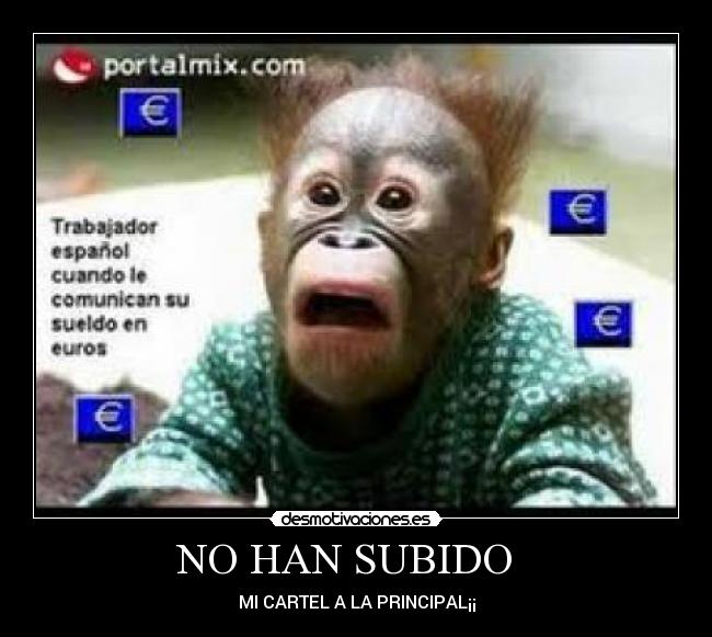 NO HAN SUBIDO - MI CARTEL A LA PRINCIPAL¡¡