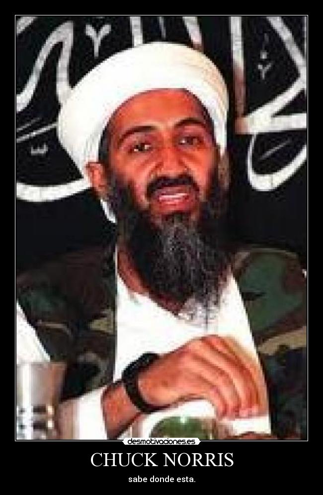 CHUCK NORRIS - sabe donde esta.