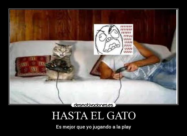 HASTA EL GATO -
