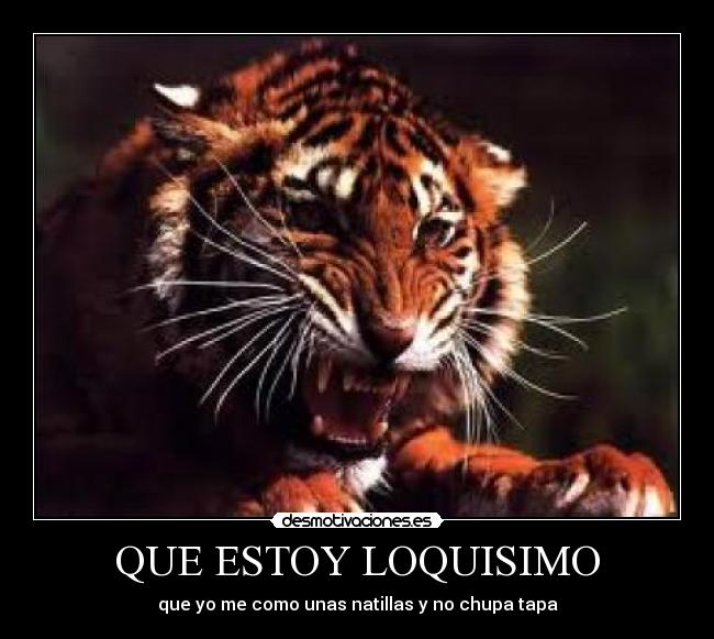 QUE ESTOY LOQUISIMO -