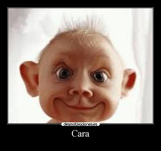 Cara - 