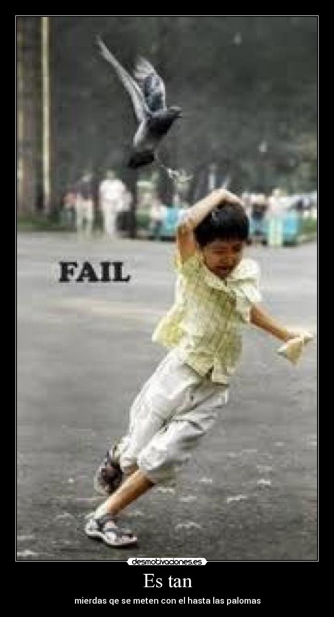 Es tan - mierdas qe se meten con el hasta las palomas
