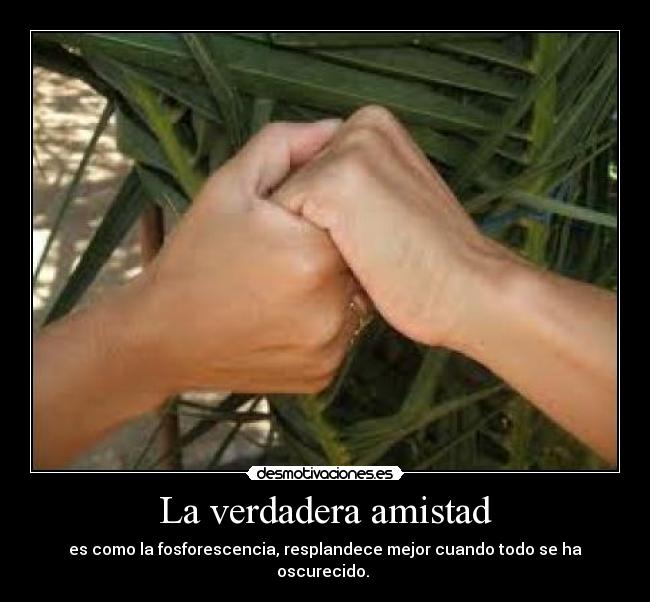 La verdadera amistad - es como la fosforescencia, resplandece mejor cuando todo se ha oscurecido. 