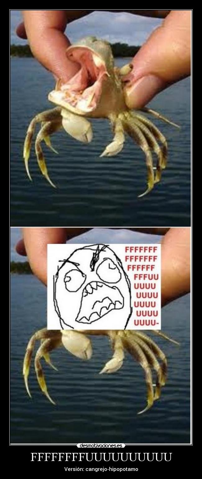 carteles cangrejo hipopotamo fffffffffuuuuuuuuuuu desmotivaciones