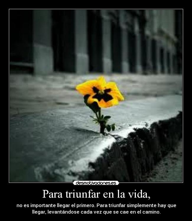 Para triunfar en la vida, - no es importante llegar el primero. Para triunfar simplemente hay que
llegar, levantándose cada vez que se cae en el camino.