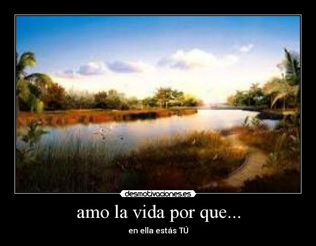 amo la vida por que... - 