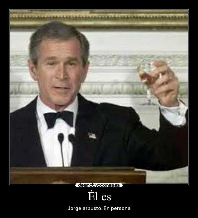 carteles bush desmotivaciones