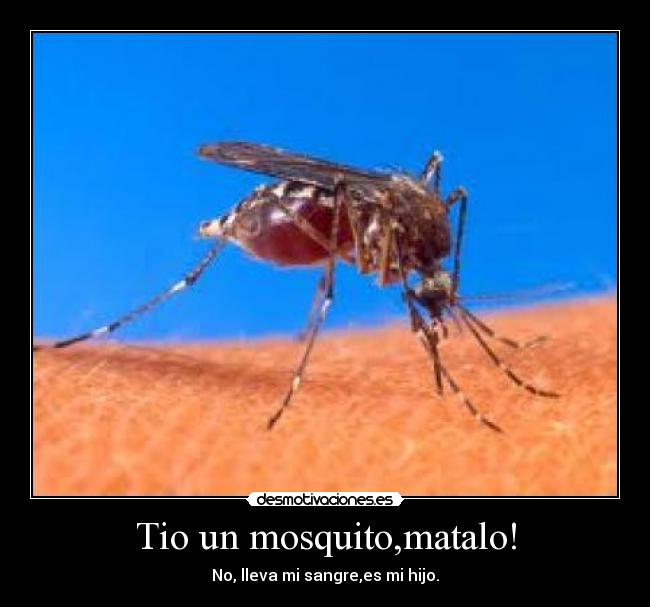 Tio un mosquito,matalo! - 