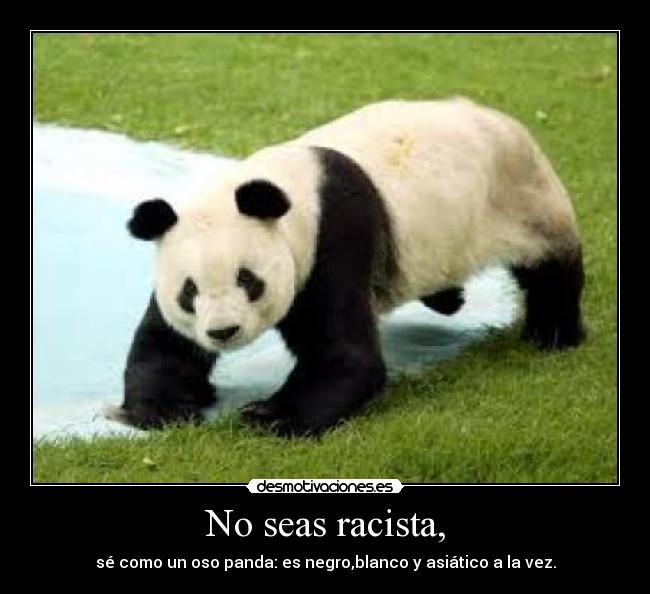 No seas racista, - sé como un oso panda: es negro,blanco y asiático a la vez.