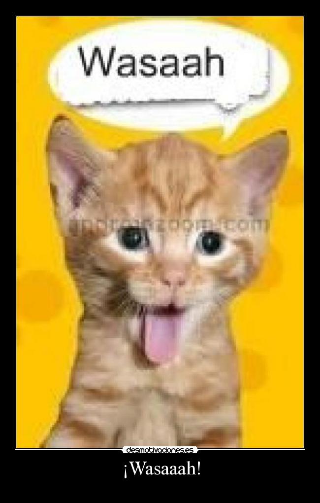 carteles wasah voto positivol mola divertido desmotivaciones