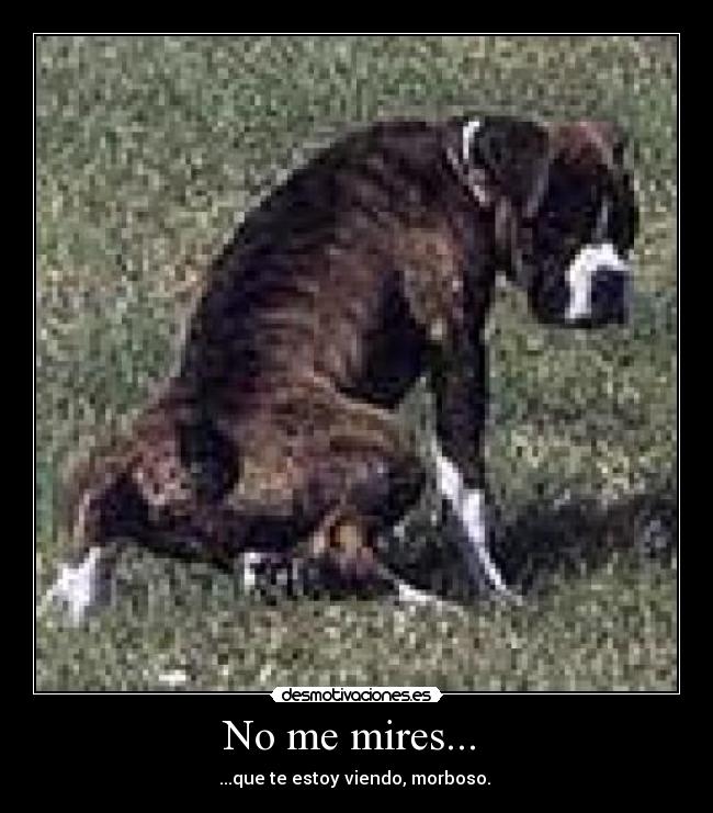 No me mires...  - 