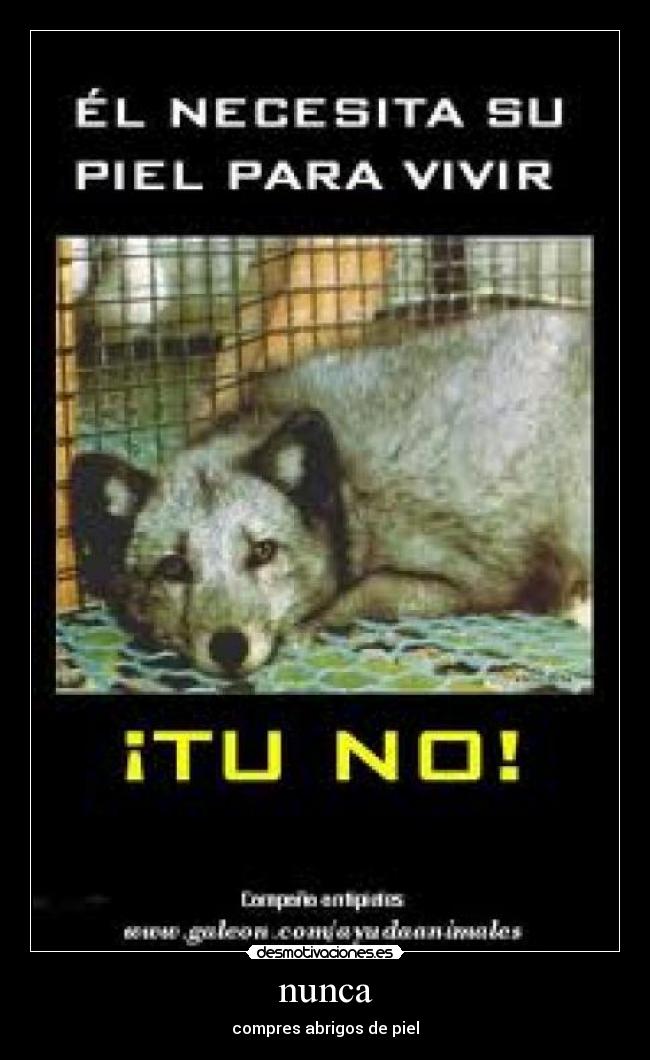 carteles maltrato animal desmotivaciones