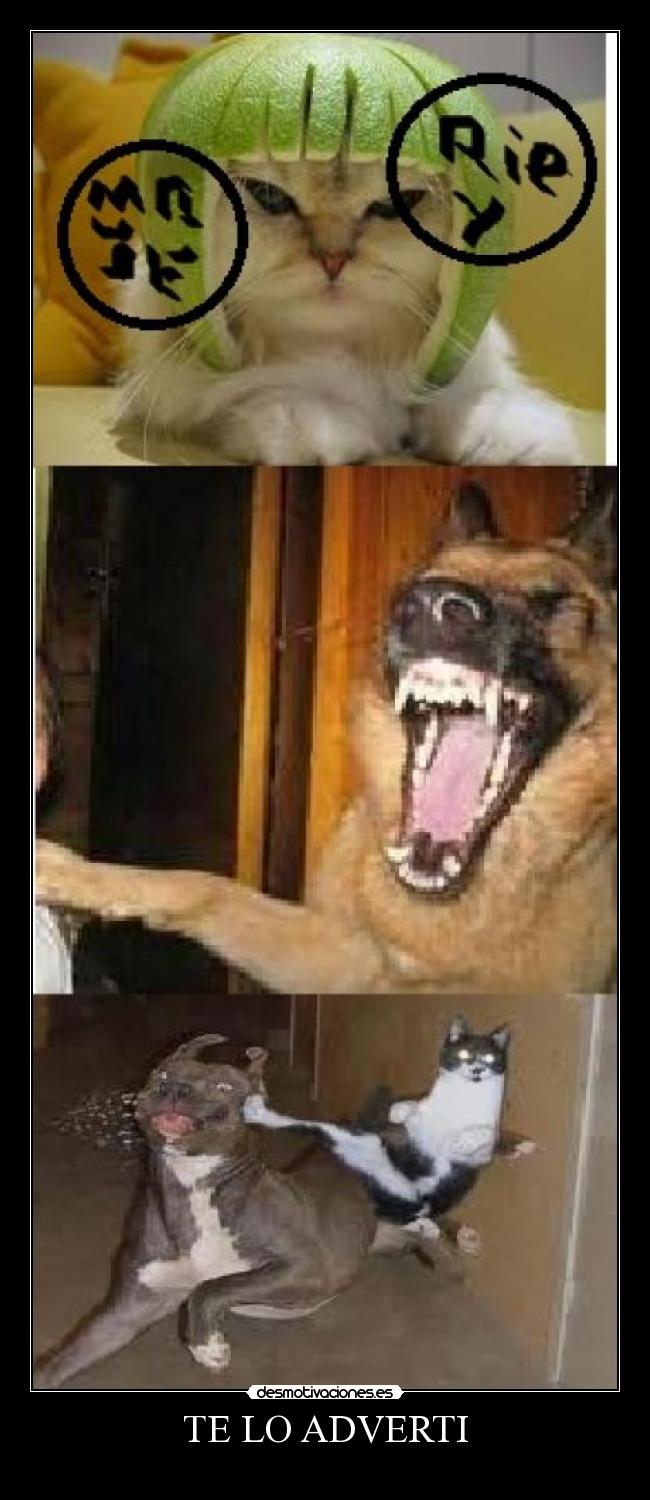 TE LO ADVERTI - 