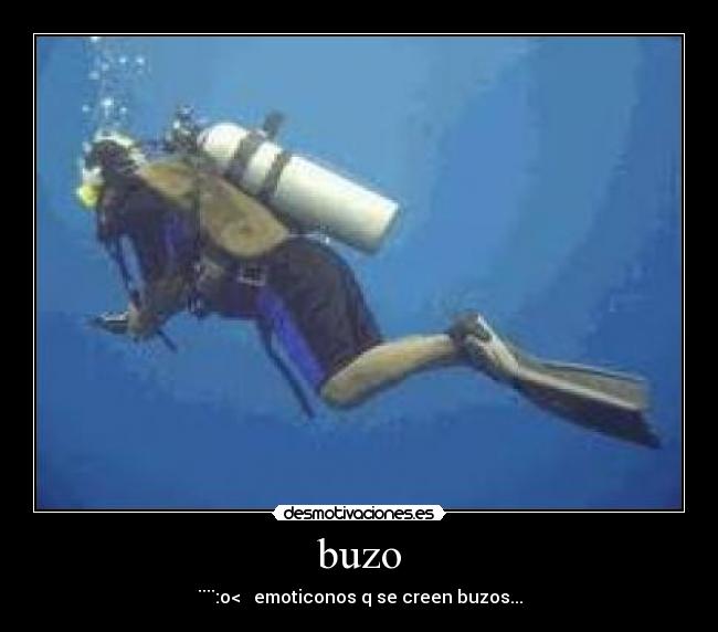 buzo - 