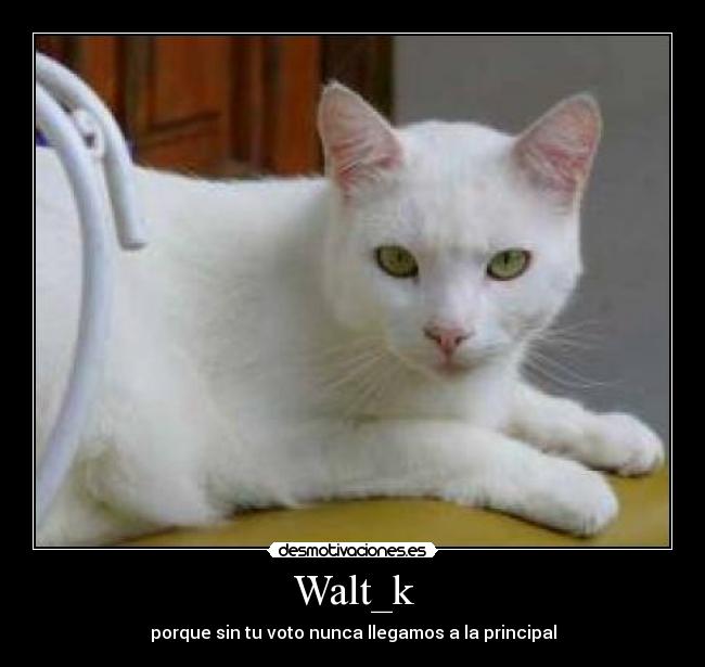 Walt_k -