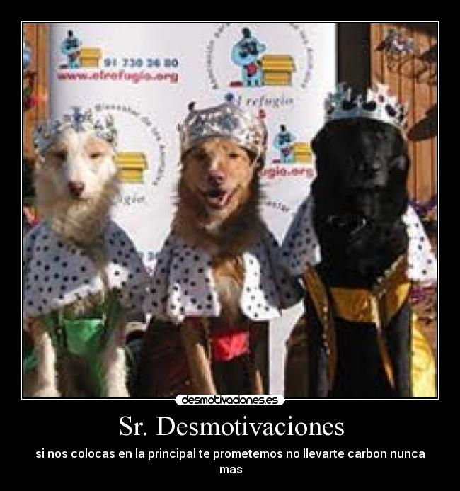 Sr. Desmotivaciones -