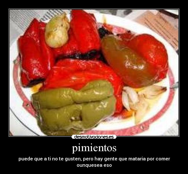 carteles pichilin oner desmotivaciones