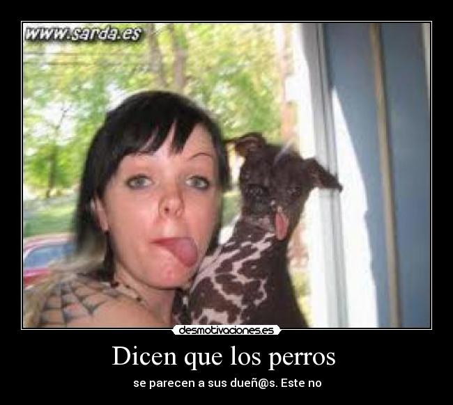 Dicen que los perros -