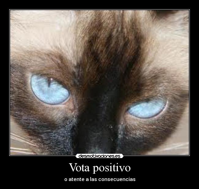 Vota positivo - 
