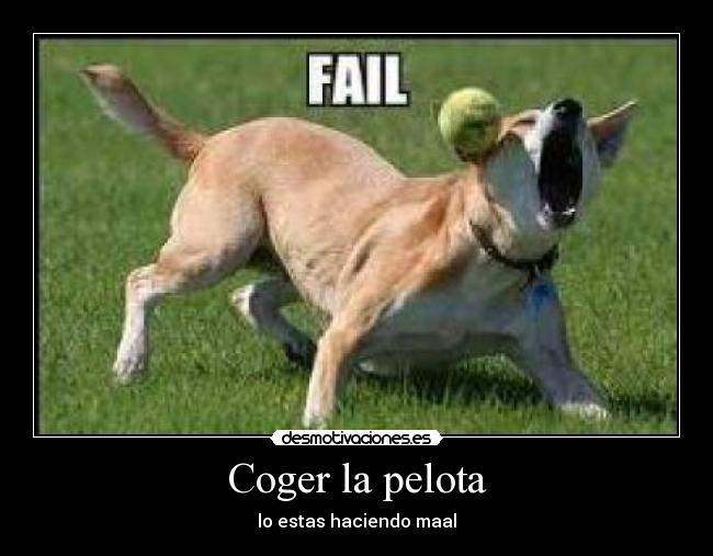 carteles federico69 desmotivaciones