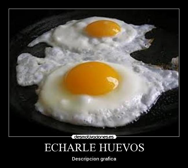 ECHARLE HUEVOS - 