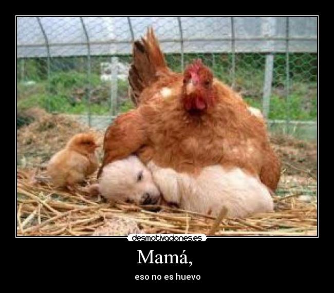 Mamá, - eso no es huevo