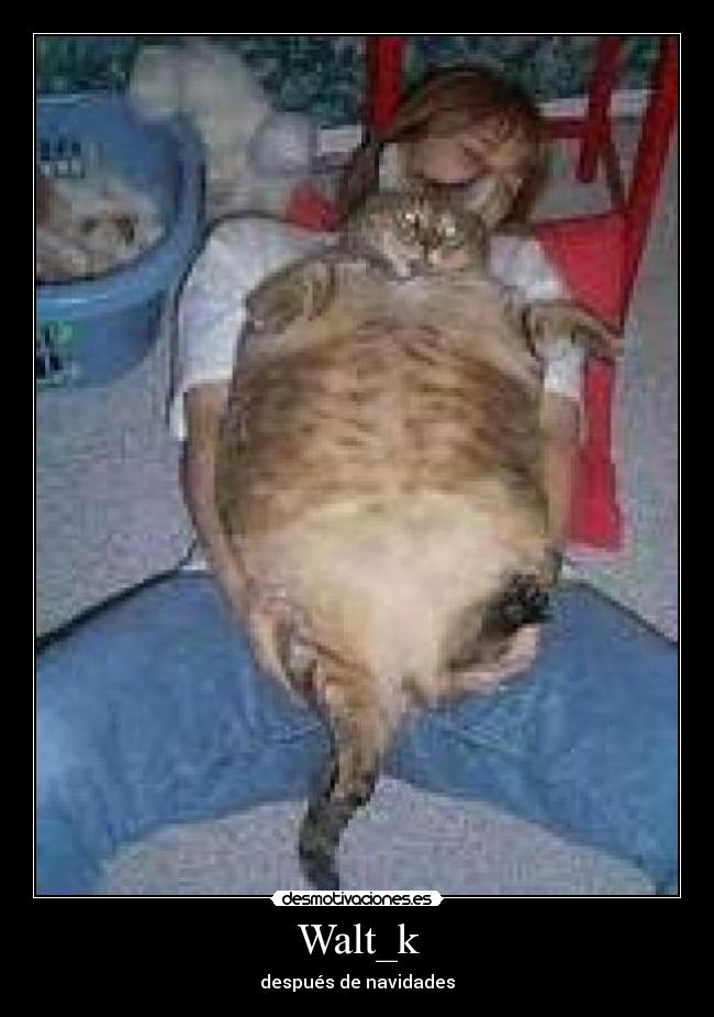 Walt_k - después de navidades