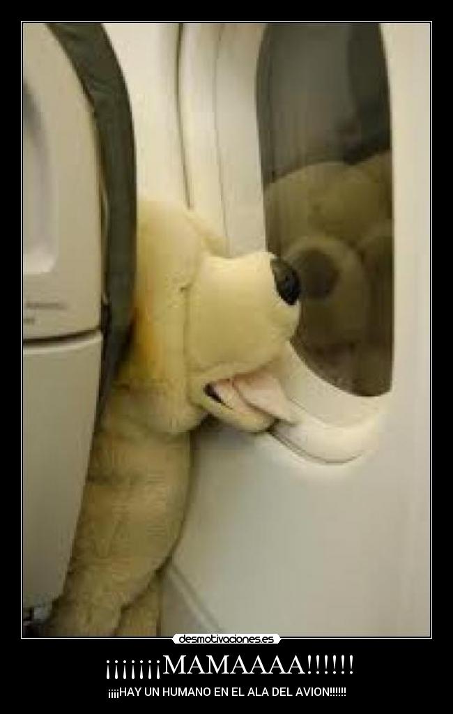 ¡¡¡¡¡¡¡MAMAAAA!!!!!! - ¡¡¡¡HAY UN HUMANO EN EL ALA DEL AVION!!!!!!