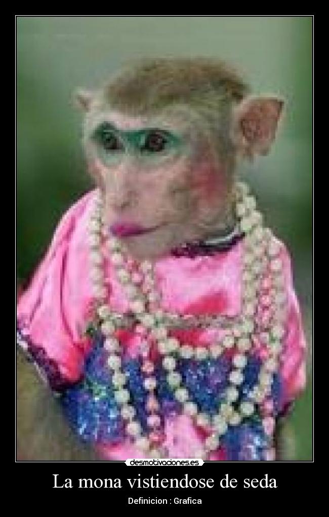 La mona vistiendose de seda - 