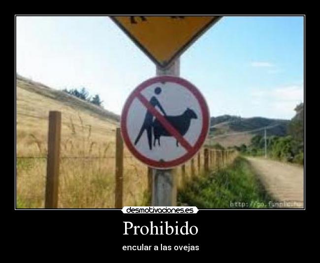 Prohibido - encular a las ovejas