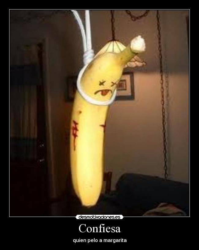 Confiesa - quien pelo a margarita