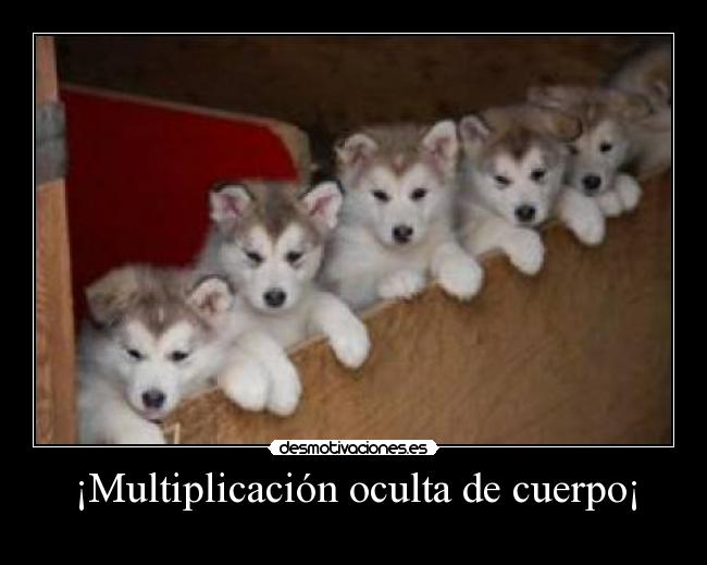 ¡Multiplicación oculta de cuerpo¡ -