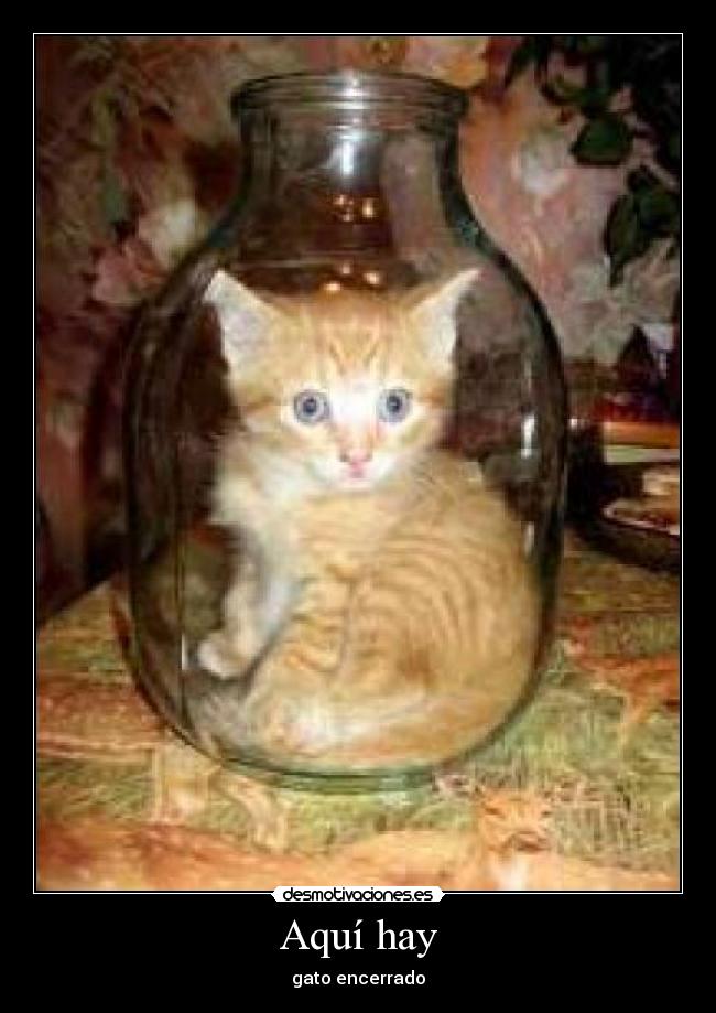 Aquí hay - gato encerrado