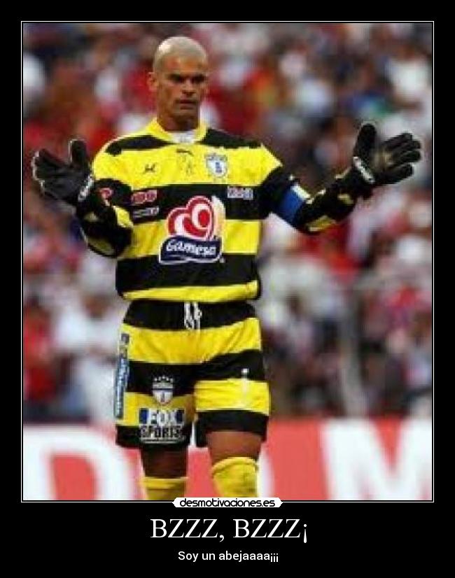 BZZZ, BZZZ¡ - Soy un abejaaaa¡¡¡