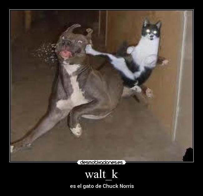 walt_k - 