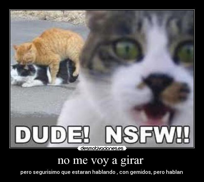 no me voy a girar - pero segurisimo que estaran hablando , con gemidos, pero hablan