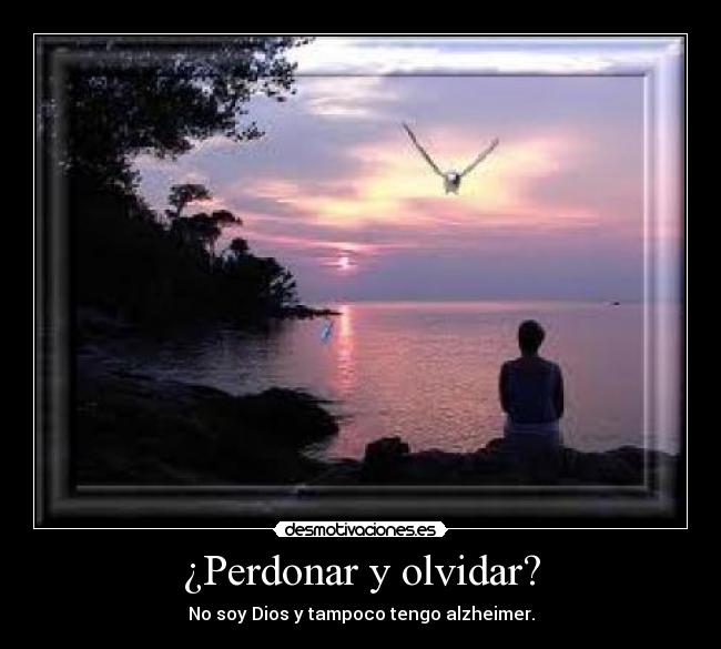 ¿Perdonar y olvidar? - No soy Dios y tampoco tengo alzheimer.