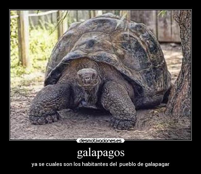 galapagos -
