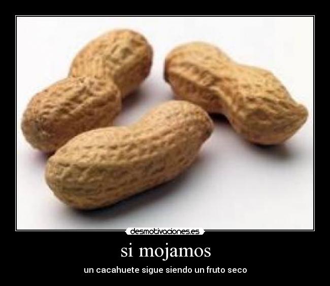 si mojamos - un cacahuete sigue siendo un fruto seco
